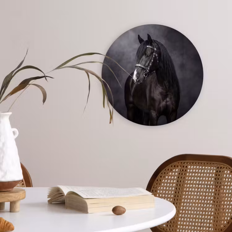 Portret - Paard - Zwart Wandcirkel kunststof plaat 5mm dik klein -sfeer4