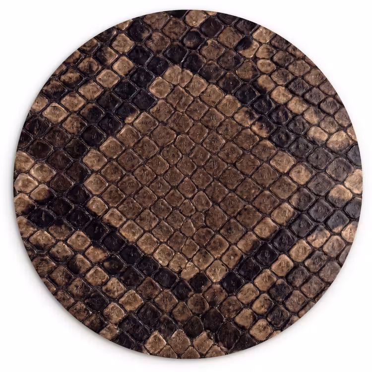 Python - Schubben - Brons Wandcirkel kunststof plaat 5mm dik klein -3d