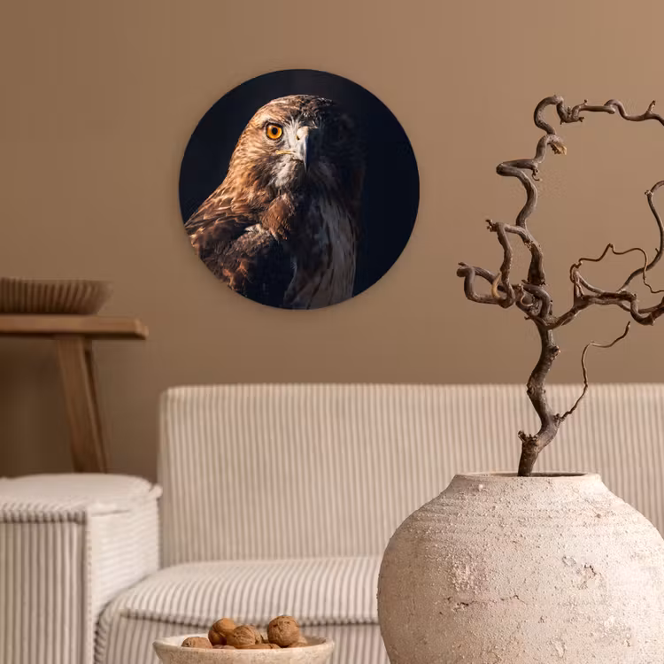 Roofvogel - Buizerd - Bruin Wandcirkel kunststof plaat 5mm dik klein -sfeer1