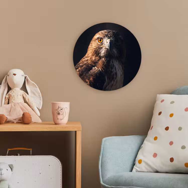 Roofvogel - Buizerd - Bruin Wandcirkel kunststof plaat 5mm dik klein -tsfeer1_kind