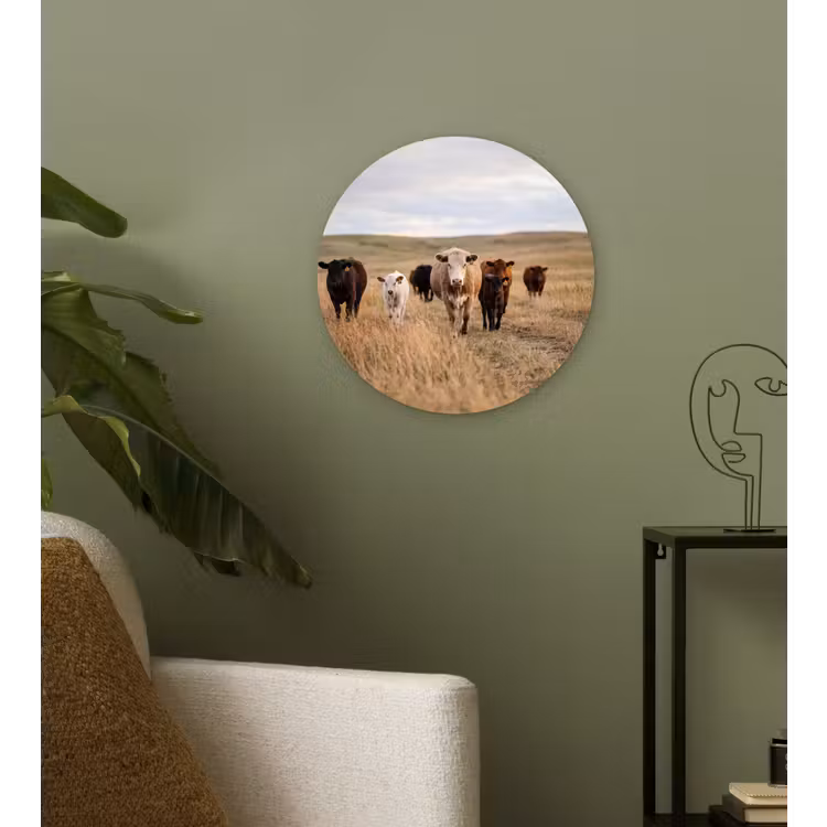 Runderen - Kudde - Landschap - Weide - Rustig Wandcirkel kunststof plaat 5mm dik klein -sfeer3