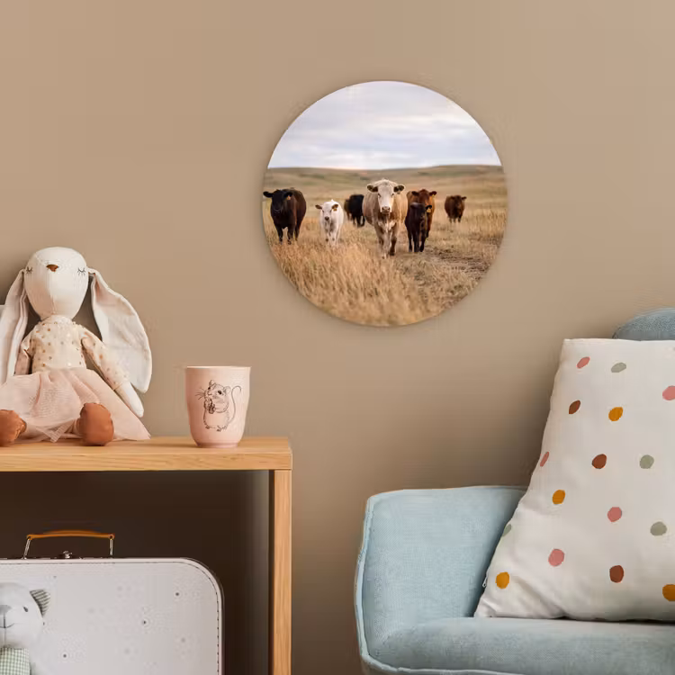 Runderen - Kudde - Landschap - Weide - Rustig Wandcirkel kunststof plaat 5mm dik klein -tsfeer1_kind