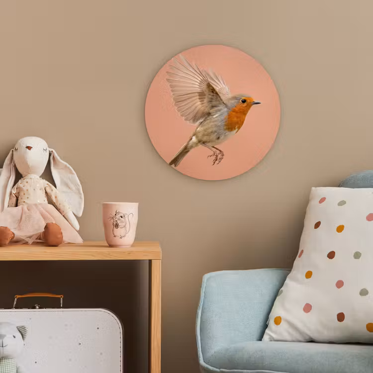 Roodborst - Natuur - Roze Wandcirkel kunststof plaat 5mm dik klein -tsfeer1_kind