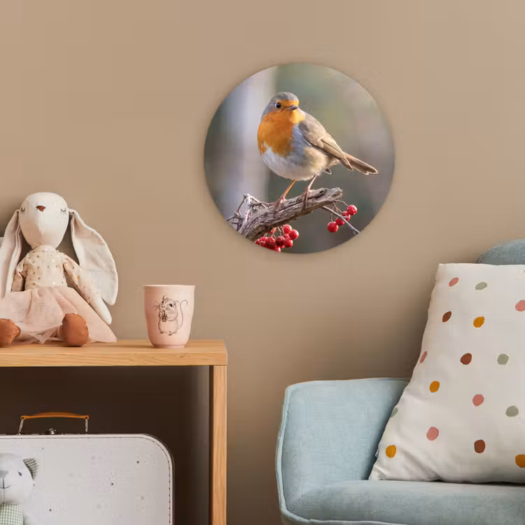 Roodborst - Tak - Bessen - Natuur Wandcirkel kunststof plaat 5mm dik klein -tsfeer1_kind