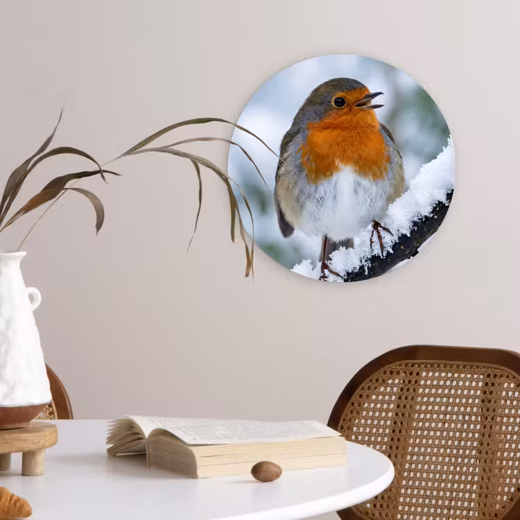 Roodborstje - Tak - Sneeuw - Winter - Levendig Wandcirkel kunststof plaat 5mm dik klein -sfeer4