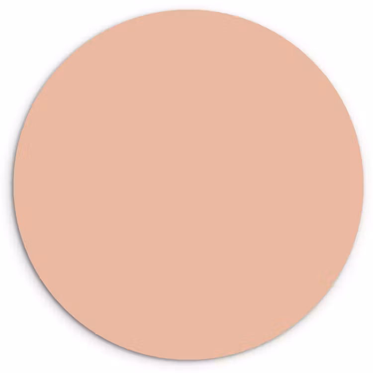 Blush - Terracotta - Nude Wandcirkel kunststof plaat 5mm dik klein 188 -3d