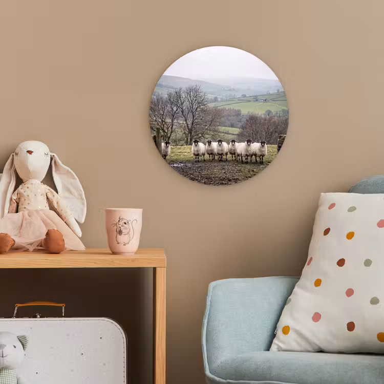 Schapen - Rij - Weide - Dieren - Platteland Wandcirkel kunststof plaat 5mm dik klein -tsfeer1_kind