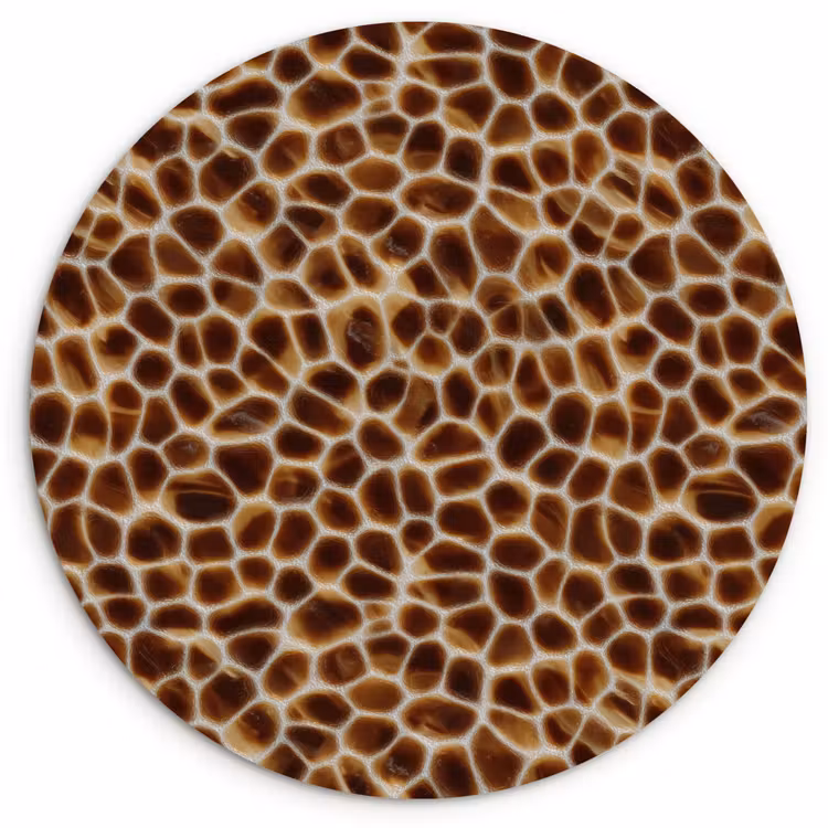 Schildpad - Bruin - Patroon Wandcirkel kunststof plaat 5mm dik klein 188 -3d
