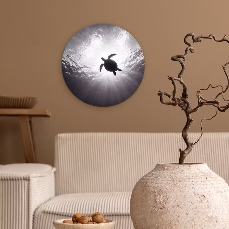 Schildpad - Onderwater - Lichtstralen - Oceaan - Zwart-wit Wandcirkel kunststof plaat 5mm dik klein -sfeer1