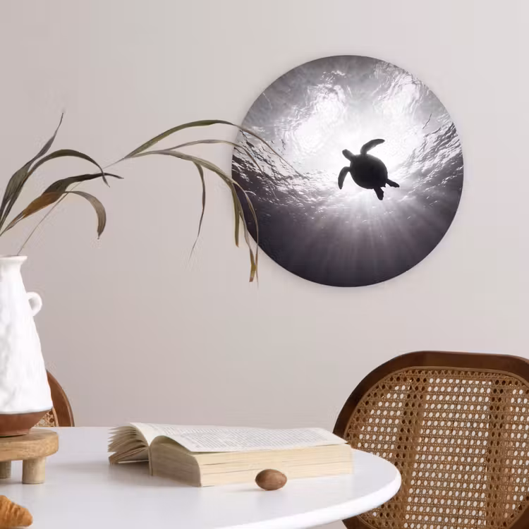 Schildpad - Onderwater - Lichtstralen - Oceaan - Zwart-wit Wandcirkel kunststof plaat 5mm dik klein -sfeer4