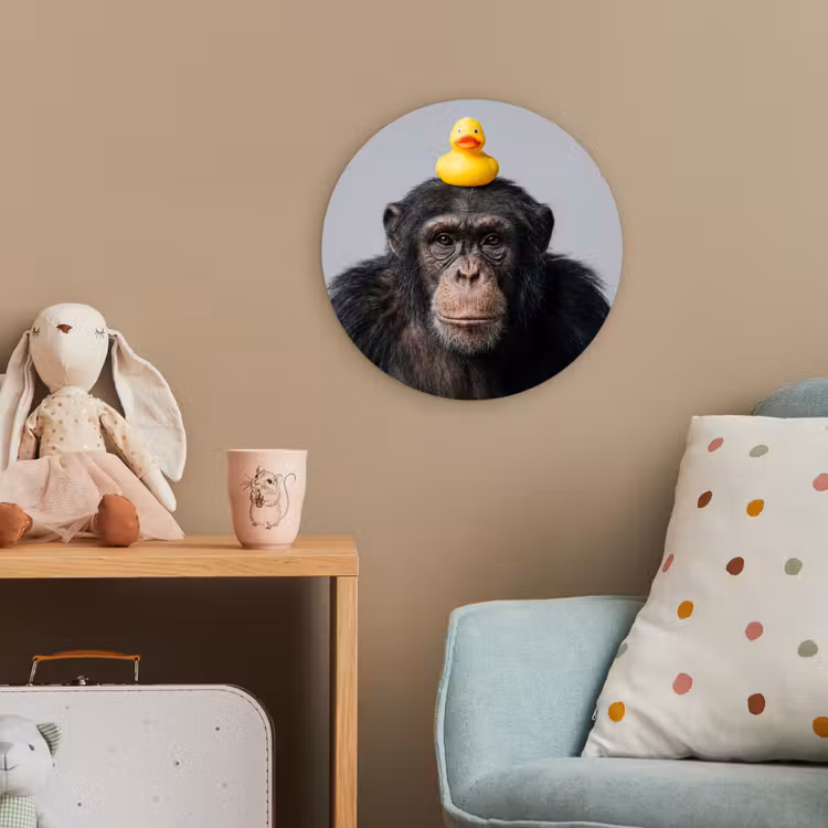Chimpansee - Badeend - Grijs Wandcirkel kunststof plaat 5mm dik klein -tsfeer1_kind