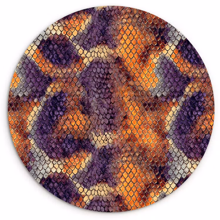 Slang - Kleurrijk - Schubben Wandcirkel kunststof plaat 5mm dik klein 188 -3d