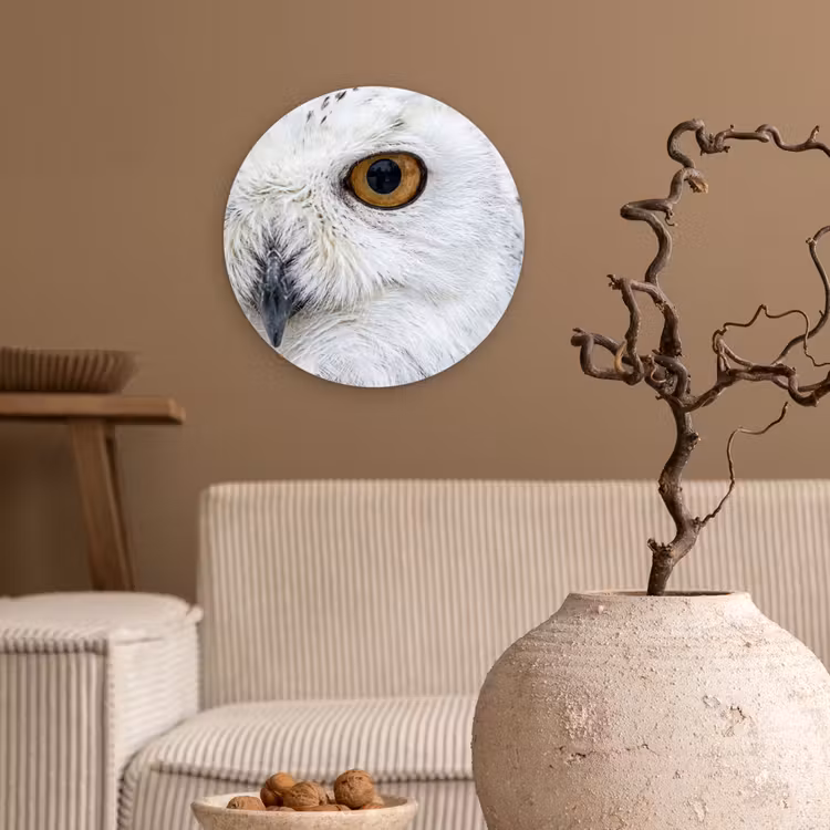 Sneeuwuil - Oog - Wildlife - Wit Wandcirkel kunststof plaat 5mm dik klein -sfeer1