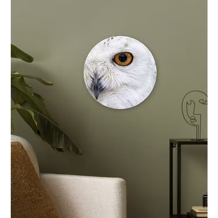 Sneeuwuil - Oog - Wildlife - Wit Wandcirkel kunststof plaat 5mm dik klein -sfeer3
