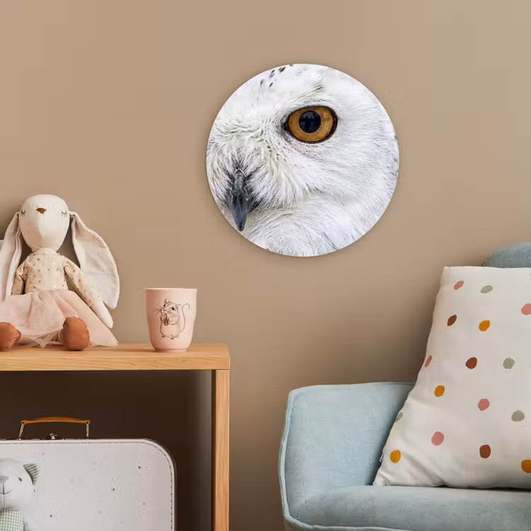 Sneeuwuil - Oog - Wildlife - Wit Wandcirkel kunststof plaat 5mm dik klein -tsfeer1_kind