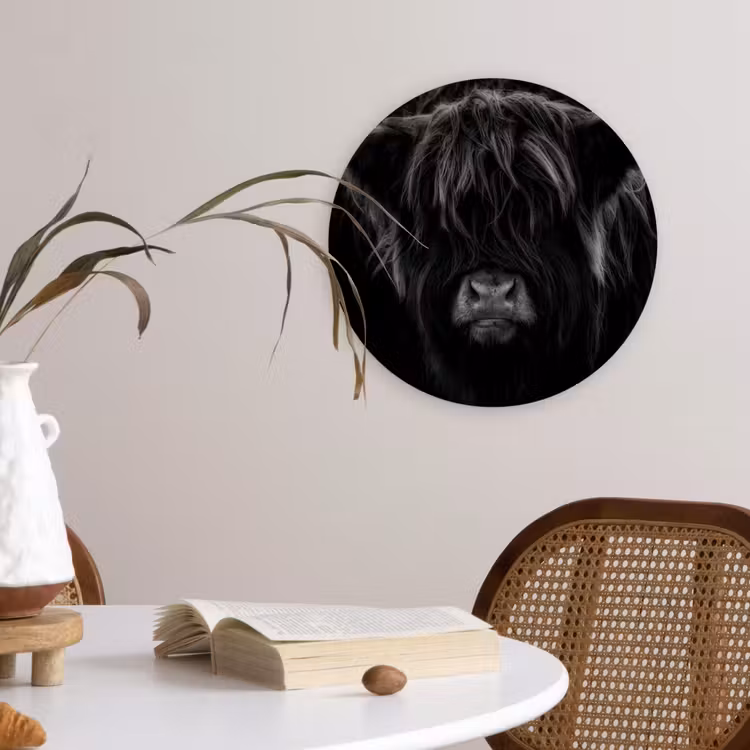 Schotse hooglander - Koe - Zwart - Wit - Dieren Wandcirkel kunststof plaat 5mm dik klein -sfeer4