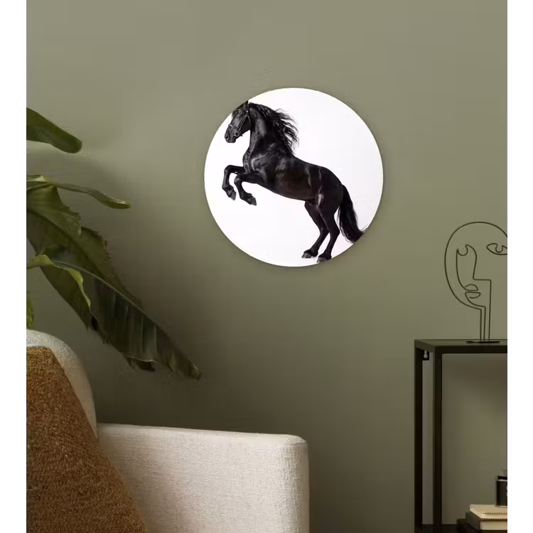 Zwart - Paard - Portret Wandcirkel kunststof plaat 5mm dik klein -sfeer3