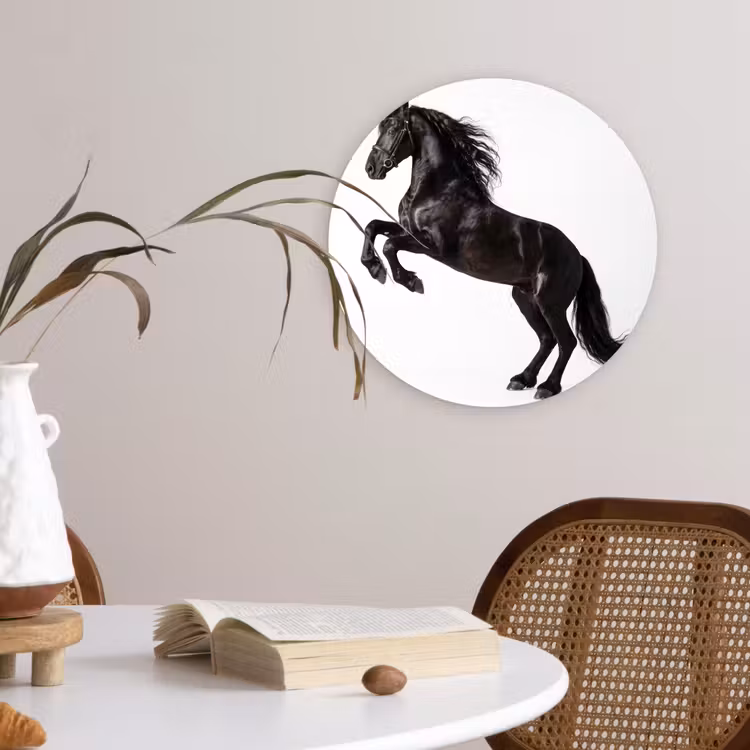 Zwart - Paard - Portret Wandcirkel kunststof plaat 5mm dik klein -sfeer4