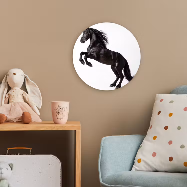 Zwart - Paard - Portret Wandcirkel kunststof plaat 5mm dik klein -tsfeer1_kind
