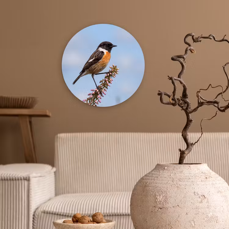 Roodborsttapuit - Heide - Paars - Natuur - Sfeervol Wandcirkel kunststof plaat 5mm dik klein -sfeer1