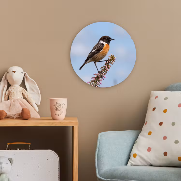 Roodborsttapuit - Heide - Paars - Natuur - Sfeervol Wandcirkel kunststof plaat 5mm dik klein -tsfeer1_kind