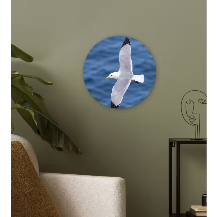 Zeemeeuw - Oceaan - Blauw Wandcirkel kunststof plaat 5mm dik klein -sfeer3