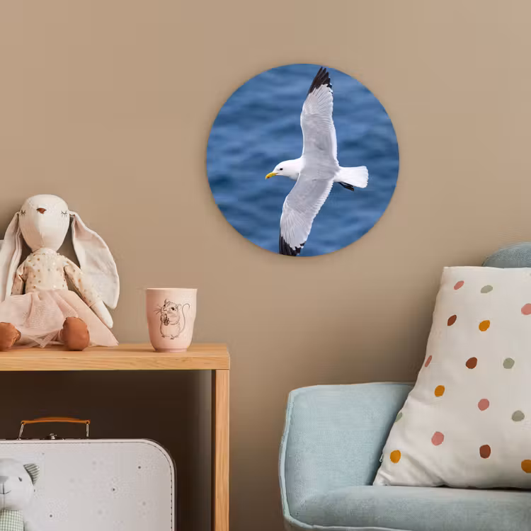 Zeemeeuw - Oceaan - Blauw Wandcirkel kunststof plaat 5mm dik klein -tsfeer1_kind
