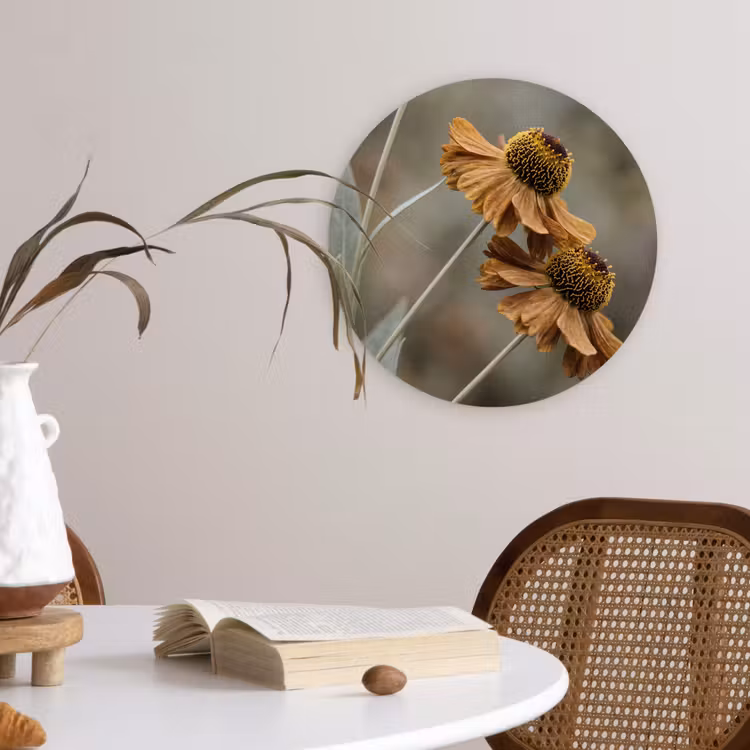 Zonnehoed - Droogbloemen - Geel - Warm Wandcirkel kunststof plaat 5mm dik klein -sfeer4