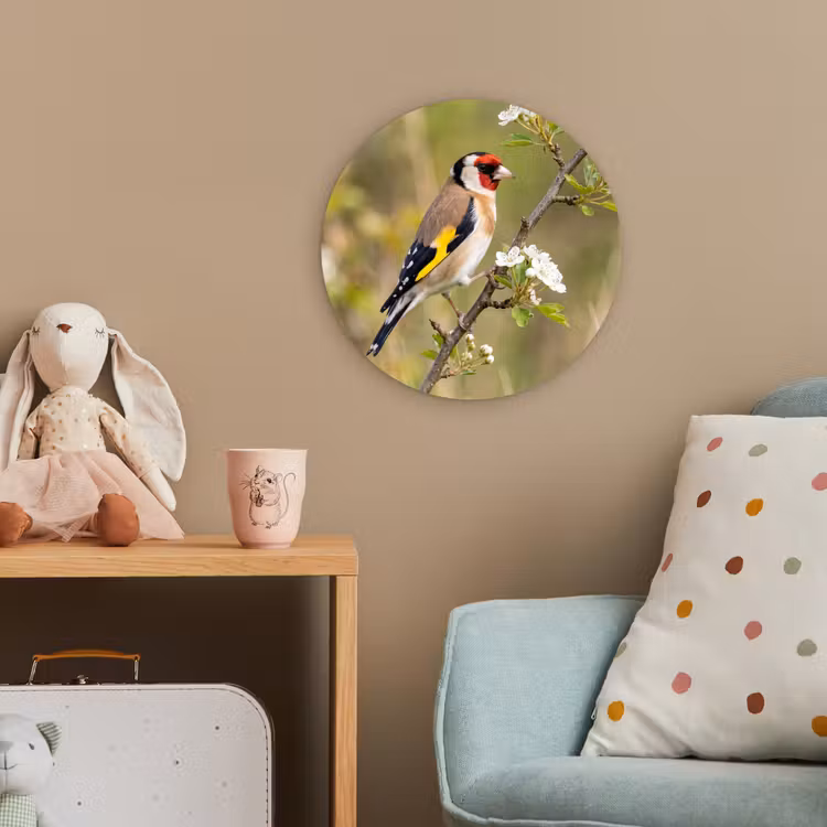 Putter - Bloesem - Lente - Natuur - Kleurrijk Wandcirkel kunststof plaat 5mm dik klein -tsfeer1_kind