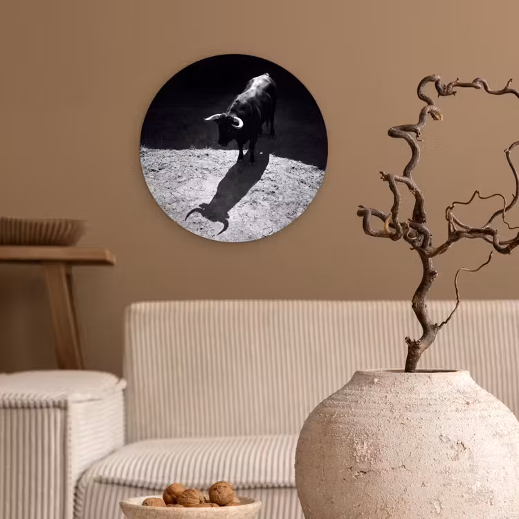 Stier - Schaduw - Dieren - Contrast - Zwart-wit Wandcirkel kunststof plaat 5mm dik klein -sfeer1