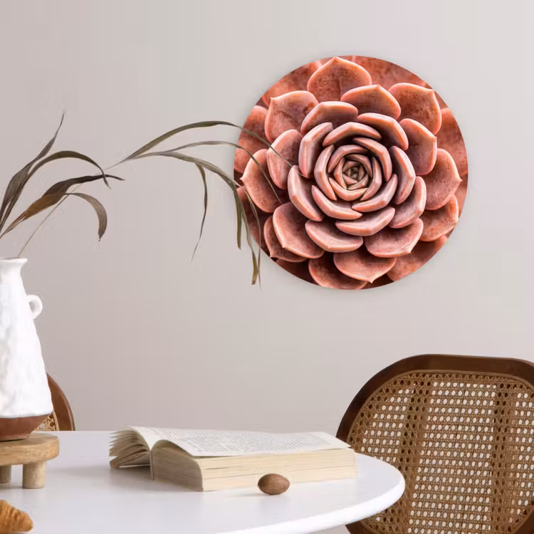 Vetplant - Organisch - Roze Wandcirkel kunststof plaat 5mm dik klein -sfeer4