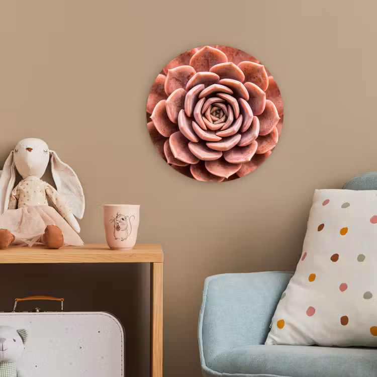 Vetplant - Organisch - Roze Wandcirkel kunststof plaat 5mm dik klein -tsfeer1_kind