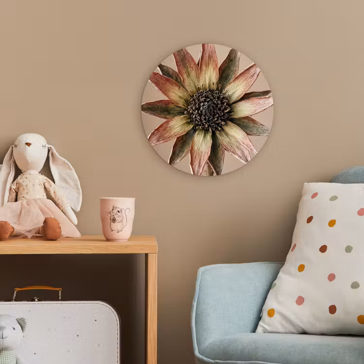 Droogbloem - Protea - Vintage - Beige - Rustiek Wandcirkel kunststof plaat 5mm dik klein -tsfeer1_kind