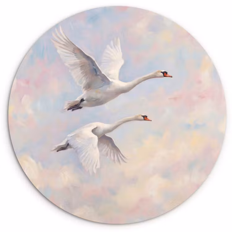 Vogel - Vliegend - Lucht - Modern - Pastel Wandcirkel kunststof plaat 5mm dik klein -3d