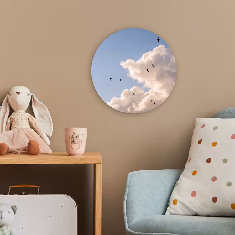 Vogel - Vlucht - Wolken - Natuur - Blauw Wandcirkel kunststof plaat 5mm dik klein -tsfeer1_kind