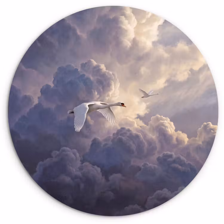 Vogel - Vliegend - Natuur - Wit - Wolken Wandcirkel kunststof plaat 5mm dik klein -3d