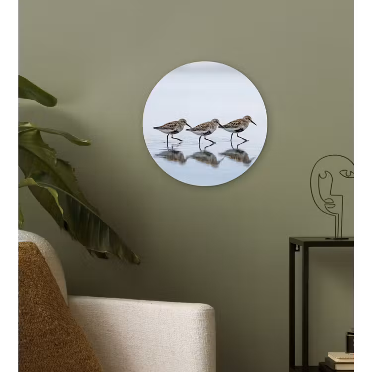 Vogels - Water - Grijs Wandcirkel kunststof plaat 5mm dik klein -sfeer3