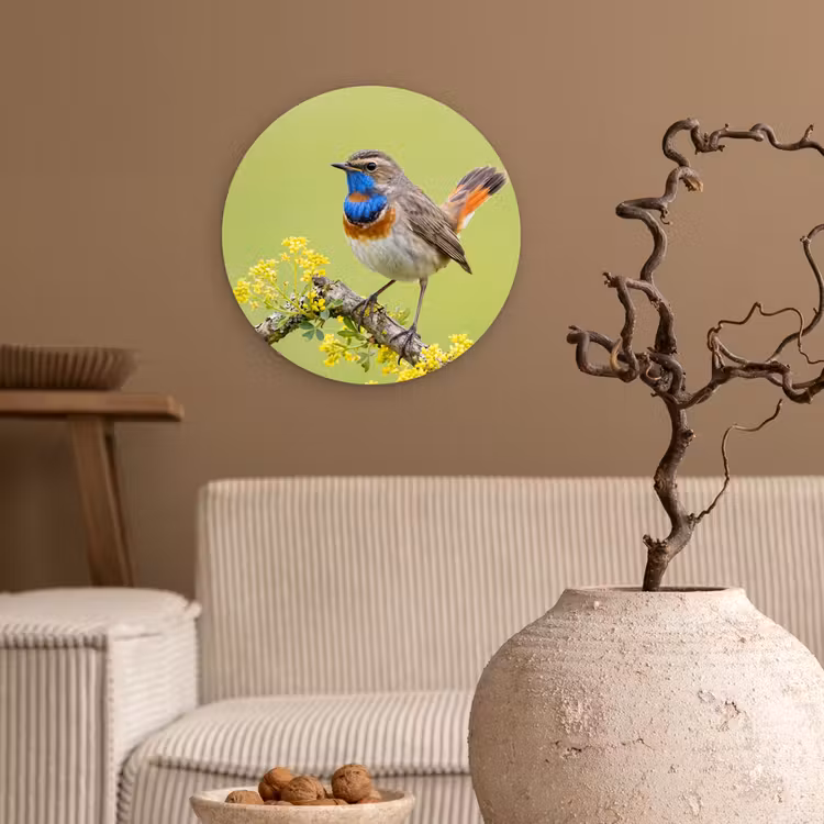 Vogel - Tak - Natuur - Kleurrijk Wandcirkel kunststof plaat 5mm dik klein -sfeer1