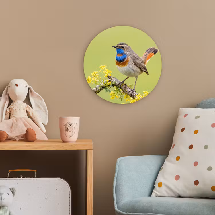 Vogel - Tak - Natuur - Kleurrijk Wandcirkel kunststof plaat 5mm dik klein -tsfeer1_kind