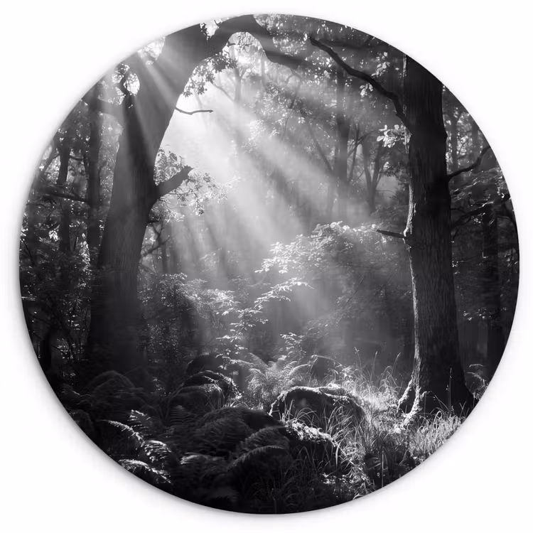 Bos - Lichtstralen - Natuur - Zwart-wit Wandcirkel kunststof plaat 5mm dik klein -3d