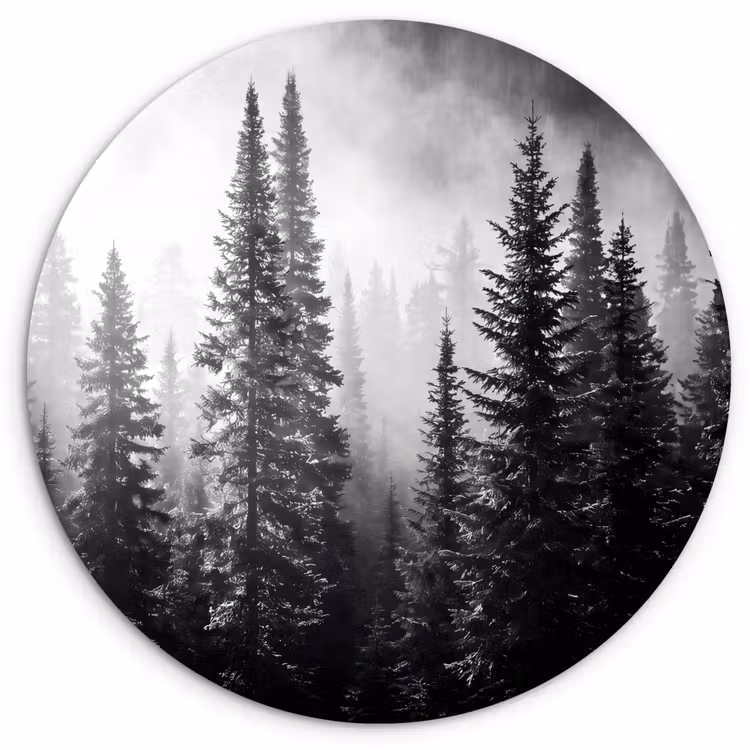 Bos - Mist - Winter - Monochroom - Natuur Wandcirkel kunststof plaat 5mm dik klein -3d