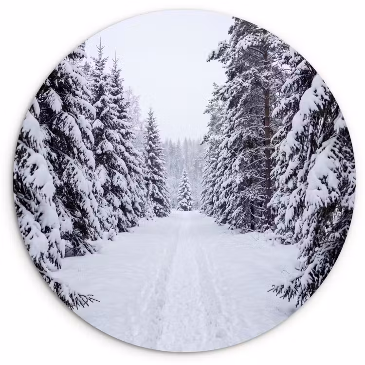 Bos - Winter - Sneeuw - Pad - Natuur Wandcirkel kunststof plaat 5mm dik klein -3d