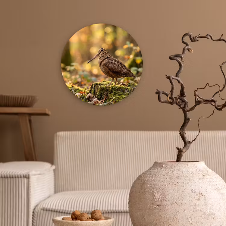 Houtsnip - Bos - Bladeren - Herfst - Gecamoufleerd Wandcirkel kunststof plaat 5mm dik klein -sfeer1
