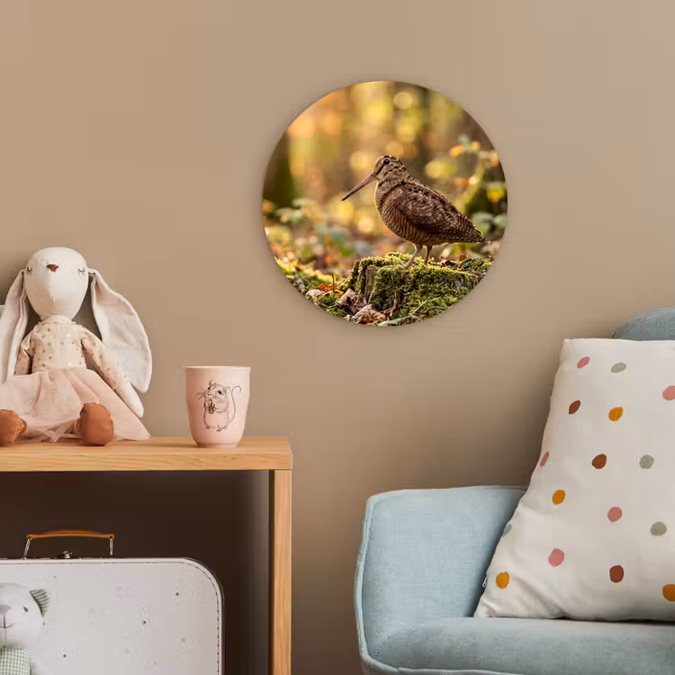 Houtsnip - Bos - Bladeren - Herfst - Gecamoufleerd Wandcirkel kunststof plaat 5mm dik klein -tsfeer1_kind