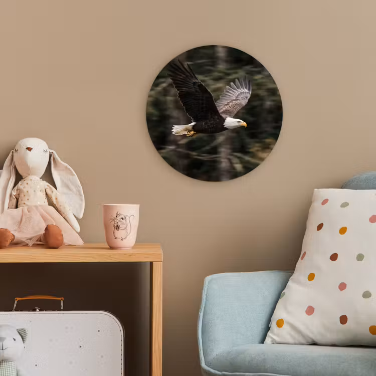 Zeearend - Vliegen - Bos - Natuur Wandcirkel kunststof plaat 5mm dik klein -tsfeer1_kind