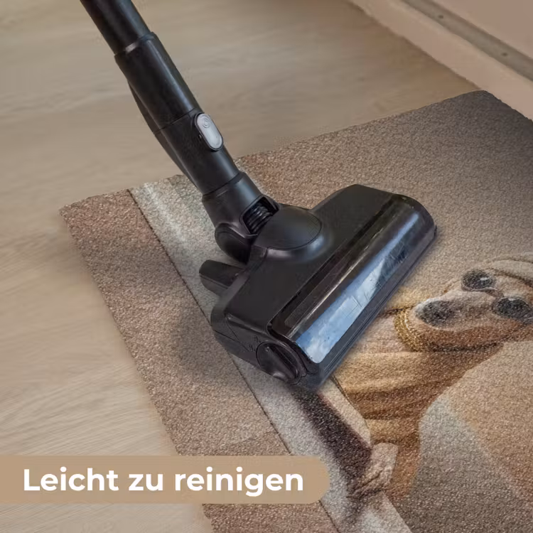 Bad - Hond - Boek - Zonnebril Deurmat klein -reinigen_DE