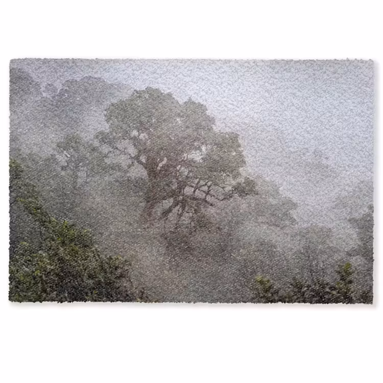 Boom - Mistig - Bos - Groen - Natuur Deurmat klein -zkaufland3d