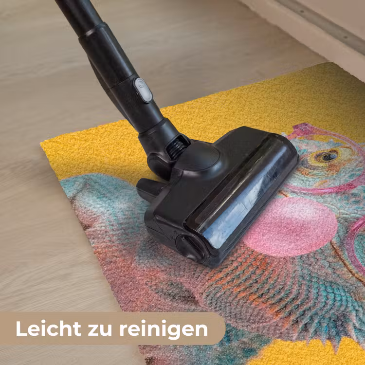 Kameleon - Kauwgom - Kleurrijk Deurmat klein -reinigen_DE