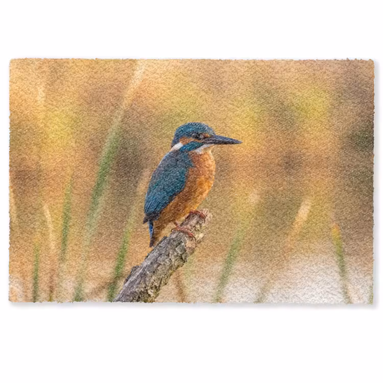IJsvogel - Tak - Water - Kleurrijk - Levendig Deurmat klein -zkaufland3d