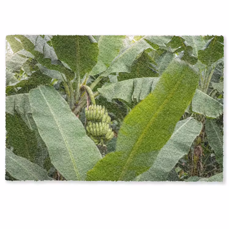 Fußmatte - Essen – Bananen – Plantage – Grün - Eten - Bananen - Plantage - Groen Deurmat klein